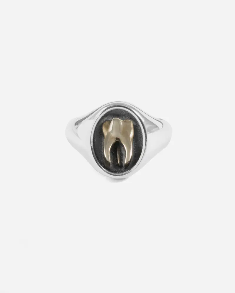 Anello Chevalier Dente Traditional Brunito Lucido