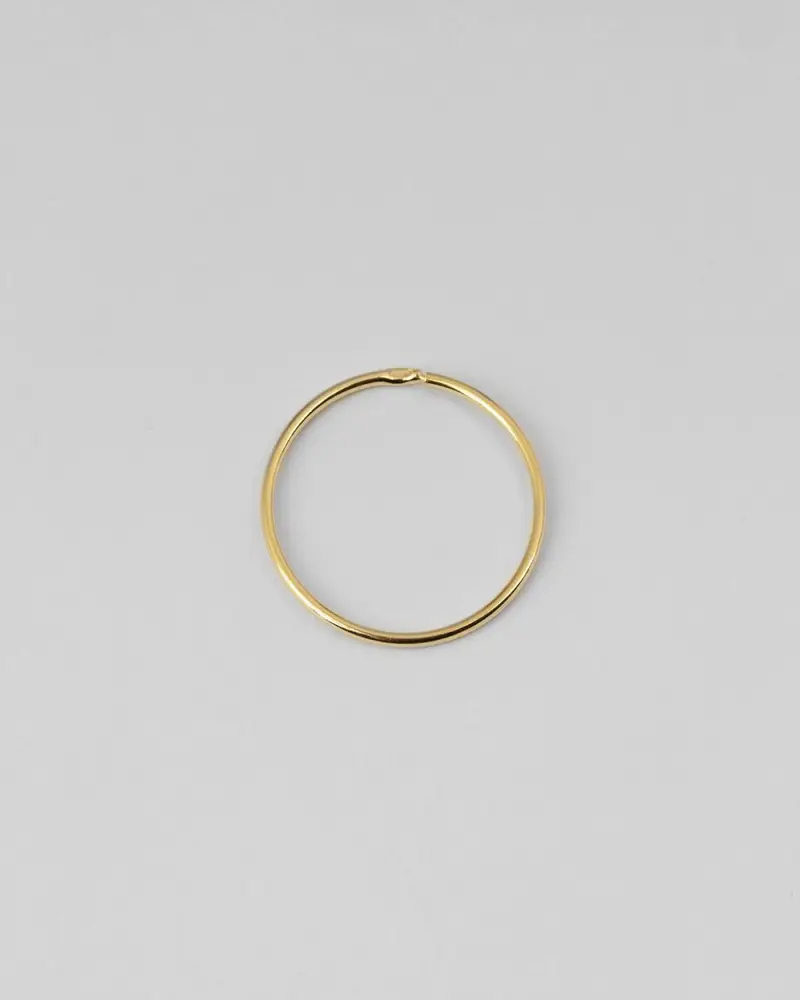Orecchino A Cerchio Mini Filo 012 D20 Placcato Oro Lucido