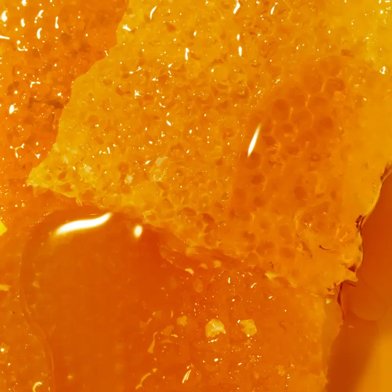 Nuxe Gel detergente 3002875 miniatura 3