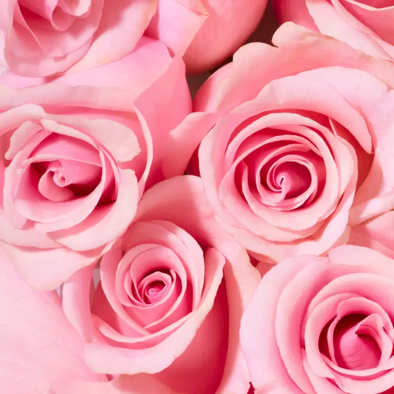 Nuxe Bagnoschiuma Rosa 3002878 miniatura 4