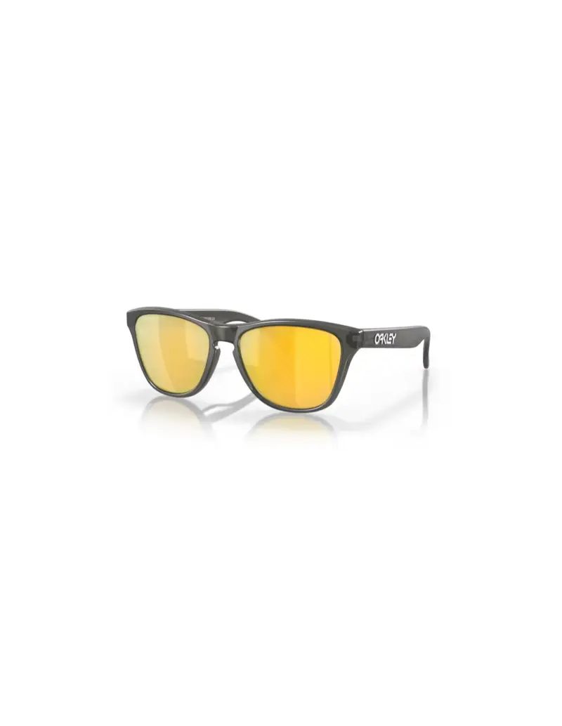 SALDI Occhiali da sole OAKLEY Junior Frogskins XS 9006-37 Matte Grey 24K Polar 53