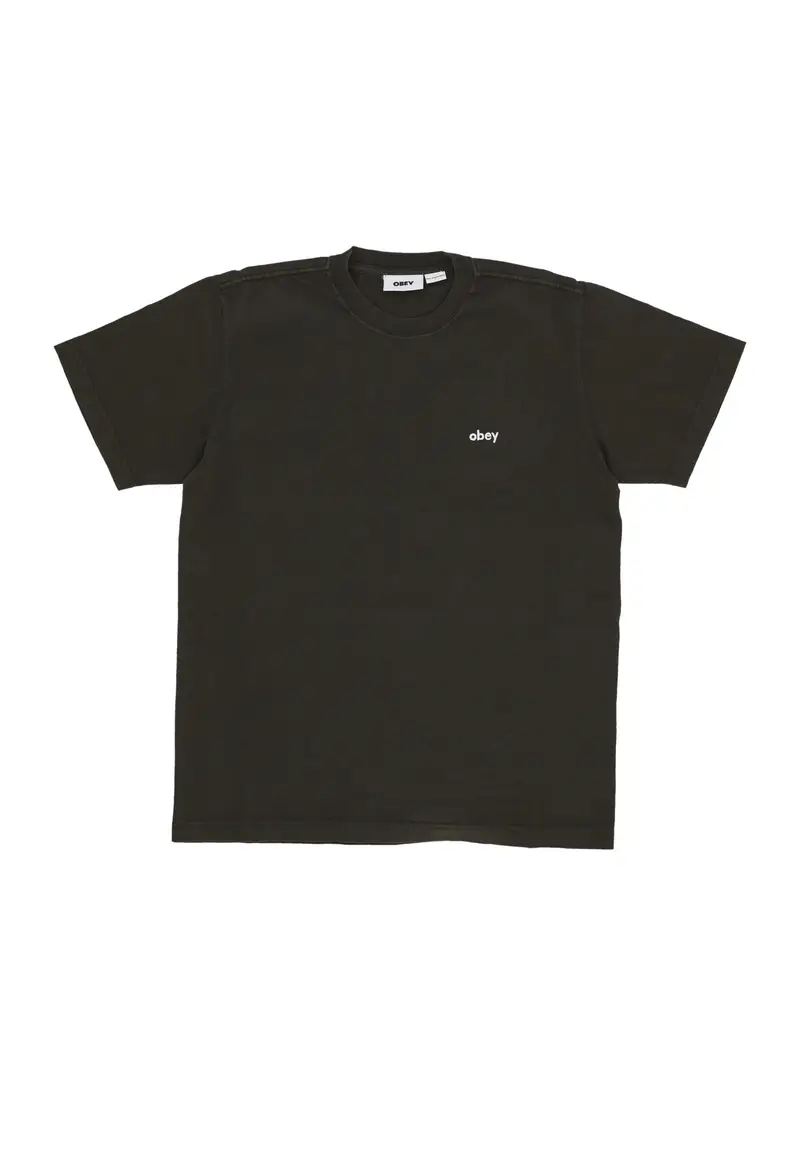 Maglietta Uomo Lowercase Pigment Tee Pigment Rosin