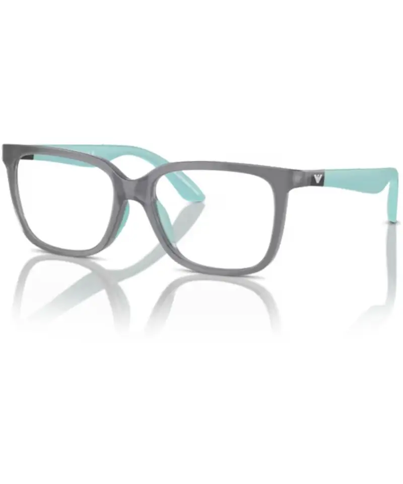 Occhiali da vista 3006 vista