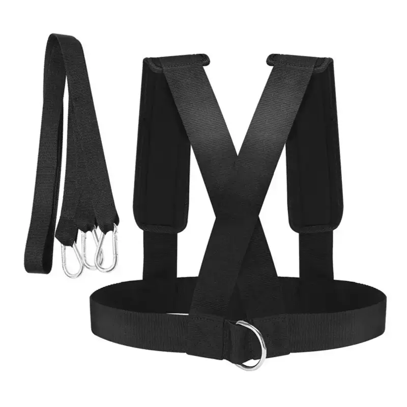 Cinghia di trazione Onamaste