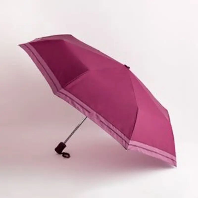 Carpisa Ombrelli Porpora 925409