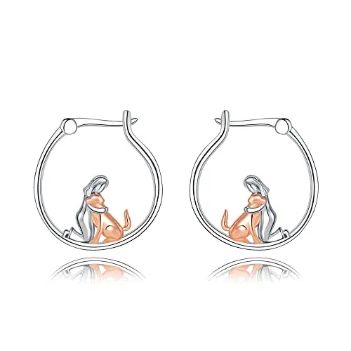 Fryneauy Orecchini Argento 3514172