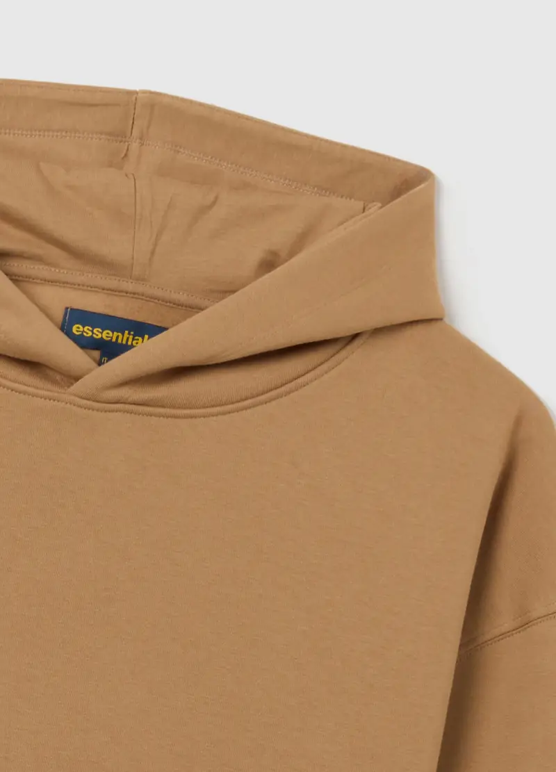 Felpa Marrone In Misto Cotone Regular Fit Con Cappuccio, Donna, Marrone miniatura 2