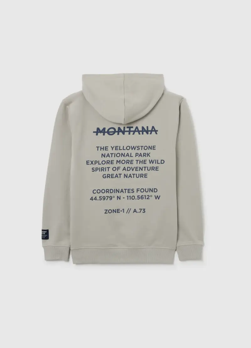 Felpa Con Cappuccio Grigia Da Ragazzo In Puro Cotone Regular Fit, Bambino, Grigio miniatura 2