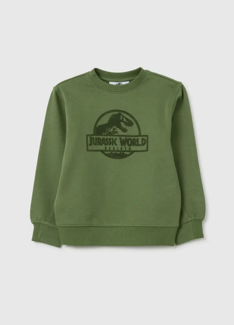 Felpa Da Bambino In Puro Cotone Verde Regular Fit Con Logo Jurassic World, Verde