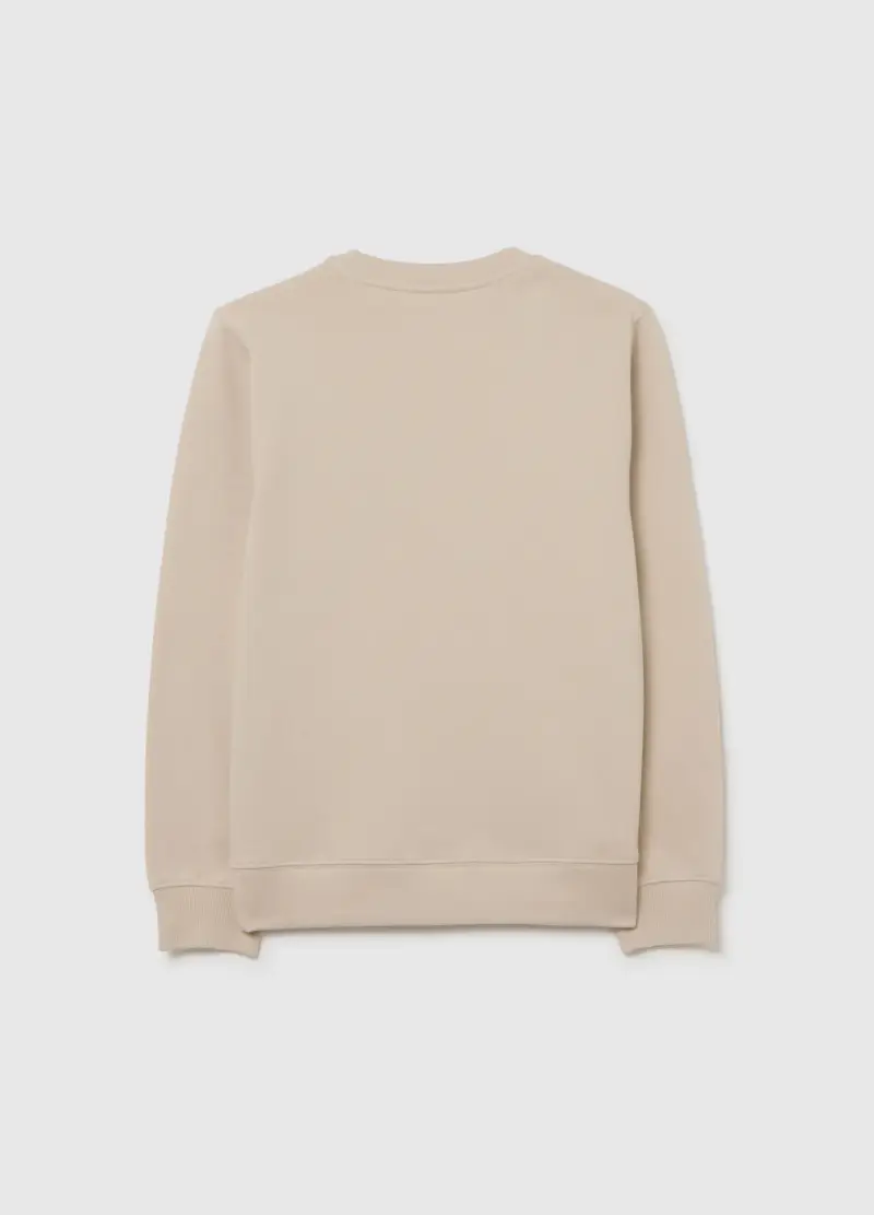 Felpa Da Ragazzo In Puro Cotone Beige Regular Fit Con Scollo Rotondo, Bambino, Beige miniatura 2