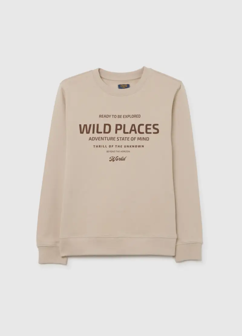 Felpa Da Ragazzo In Puro Cotone Beige Regular Fit Con Scollo Rotondo, Bambino, Beige