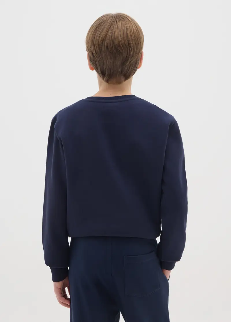 Felpa Da Ragazzo In Puro Cotone Blu Regular Fit Con Scollo Rotondo, Bambino, Blu miniatura 2