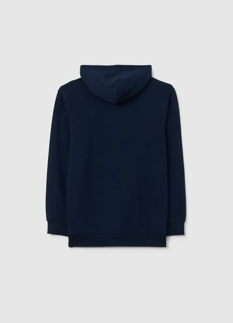 Felpa Da Ragazzo In Puro Cotone Blu Regular Fit Con Stampa, Bambino, Blu miniatura 2