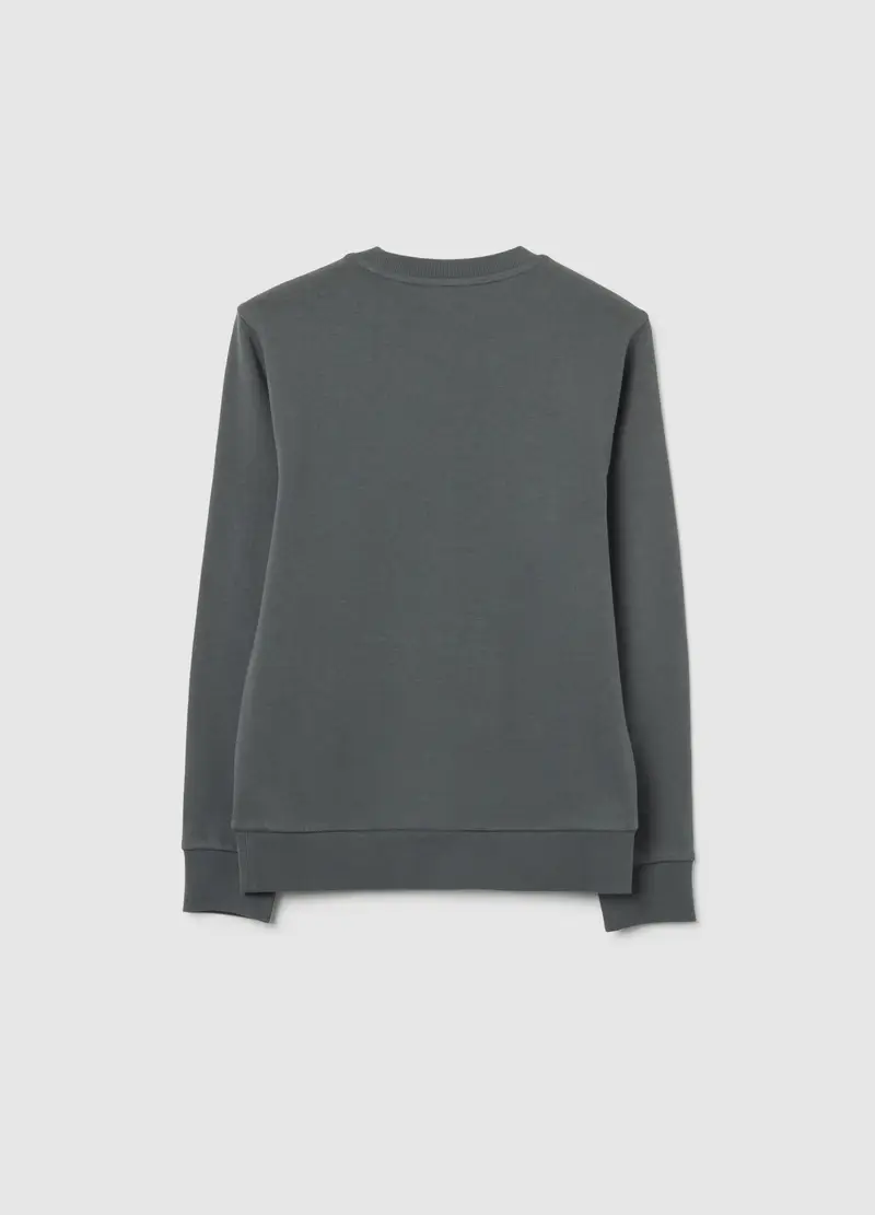 Felpa Da Ragazzo In Puro Cotone Grigia Regular Fit, Bambino, Grigio miniatura 2