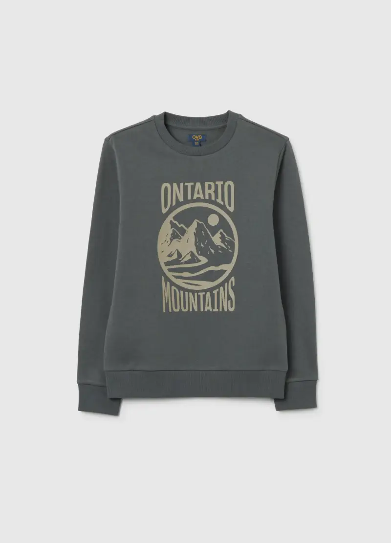 Felpa Da Ragazzo In Puro Cotone Grigia Regular Fit, Bambino, Grigio