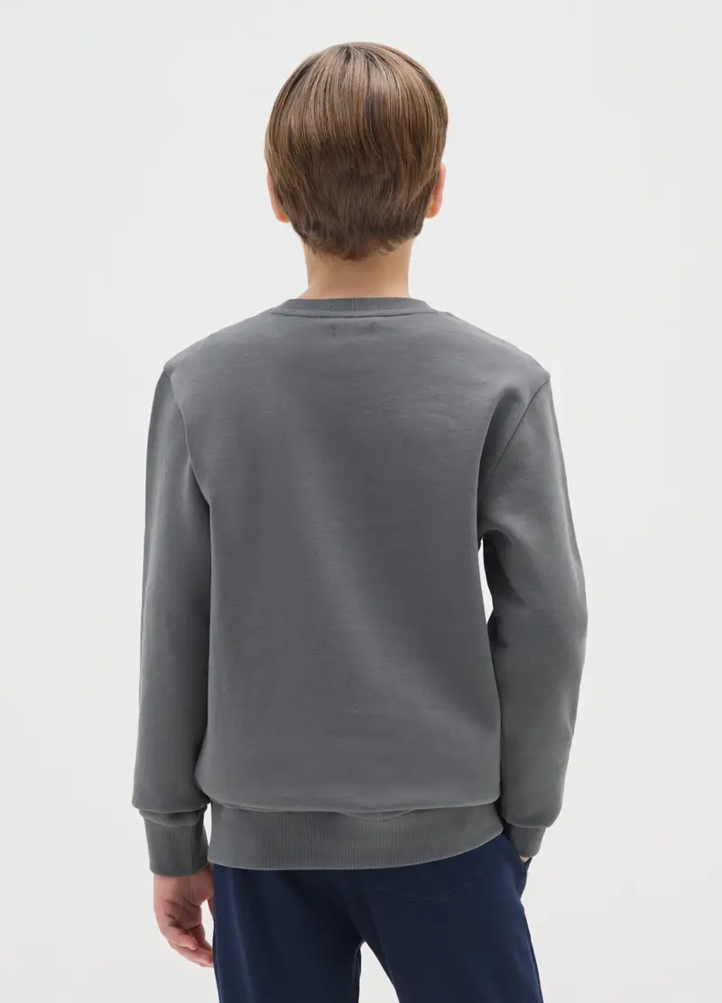 Felpa Da Ragazzo In Puro Cotone Grigia Regular Fit, Bambino, Grigio miniatura 2