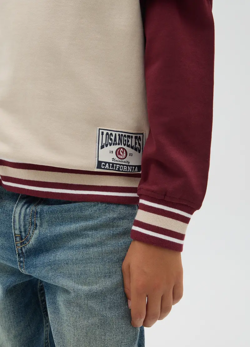 Felpa Da Ragazzo In Puro Cotone Multicolor Regular Fit, Bambino, Multicolor miniatura 3