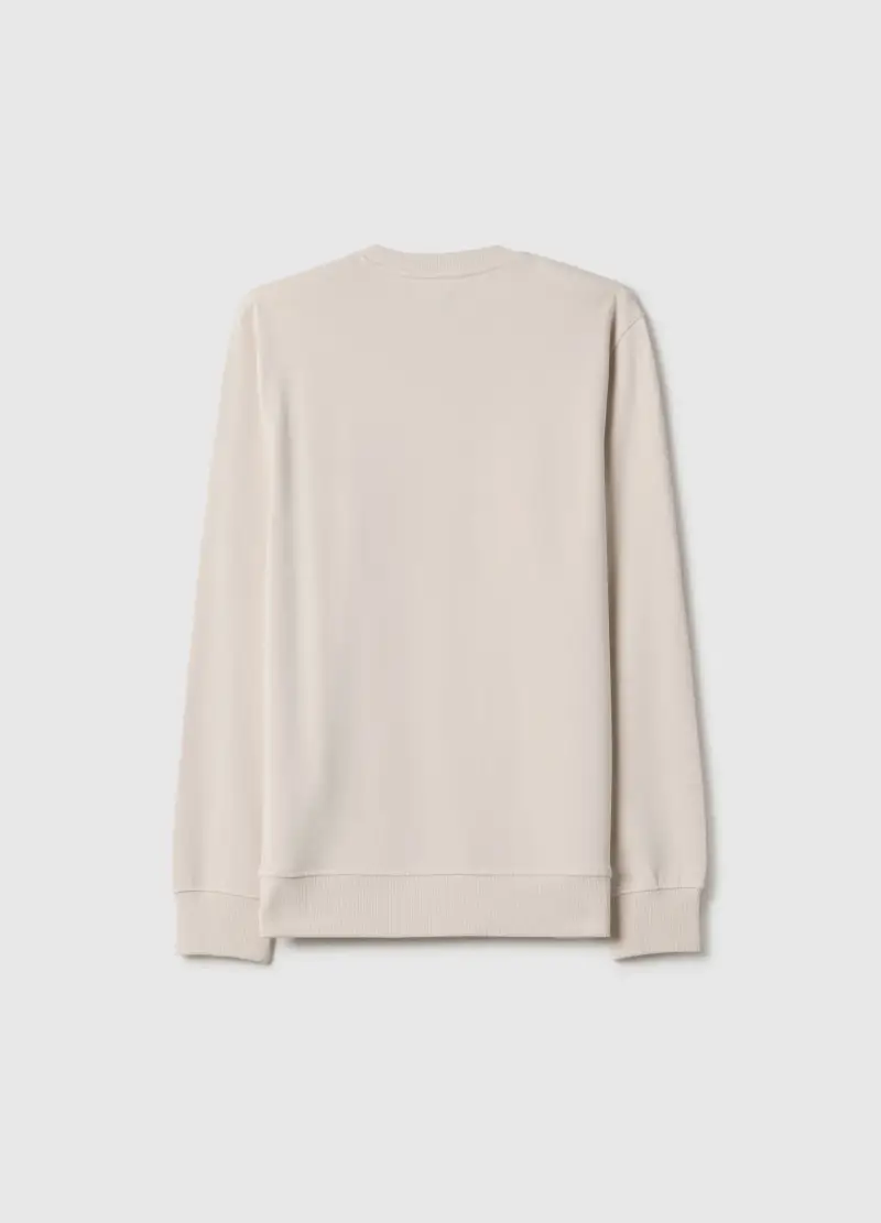 Felpa Girocollo Beige Da Ragazzo In Puro Cotone Regular Fit Con Stampa, Bambino, Beige miniatura 2