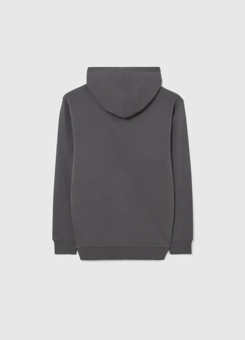 Felpa Grigia Con Cappuccio Da Ragazzo In Puro Cotone Regular Fit, Bambino, Grigio miniatura 2