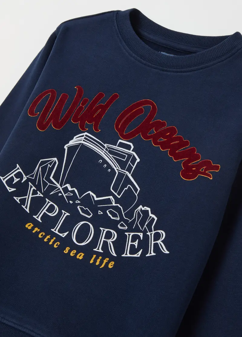 Felpa In French Terry Con Stampa, Bambino, Blu miniatura 3