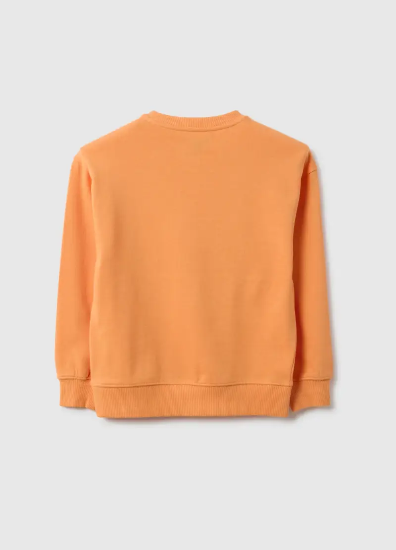 Felpa In Puro Cotone Arancione Da Bambino Regular Fit, Arancione miniatura 2