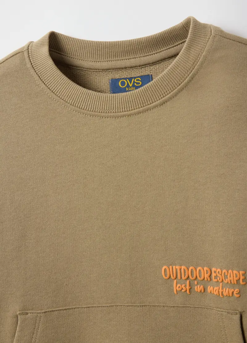 Felpa In Puro Cotone Beige Da Bambino Regular Fit, Beige miniatura 3