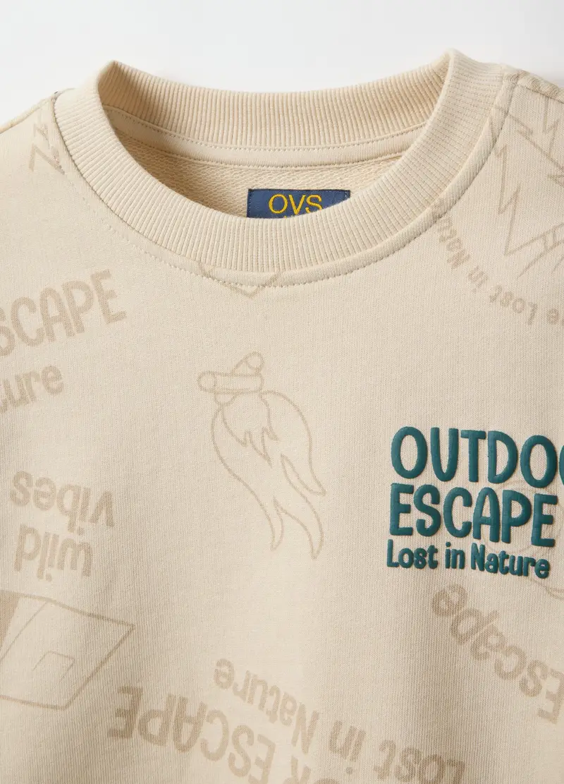Felpa In Puro Cotone Beige Da Bambino Regular Fit Con Stampa, Beige miniatura 3
