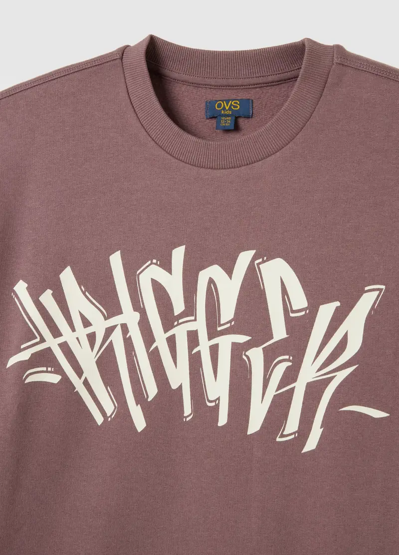 Felpa Viola Girocollo, Bambino, Marrone miniatura 3