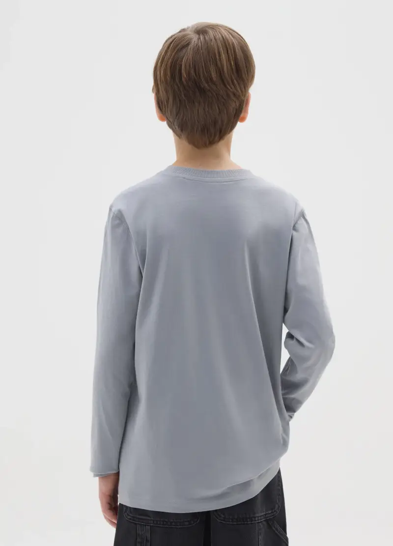 Maglietta Da Ragazzo In Puro Cotone Grigia Regular Fit, Bambino, Grigio miniatura 2