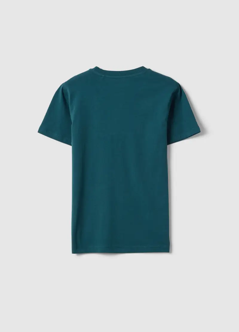 T-shirt In Puro Cotone Verde Da Ragazzo Regular Fit Con Stampa, Bambino, Verde miniatura 2