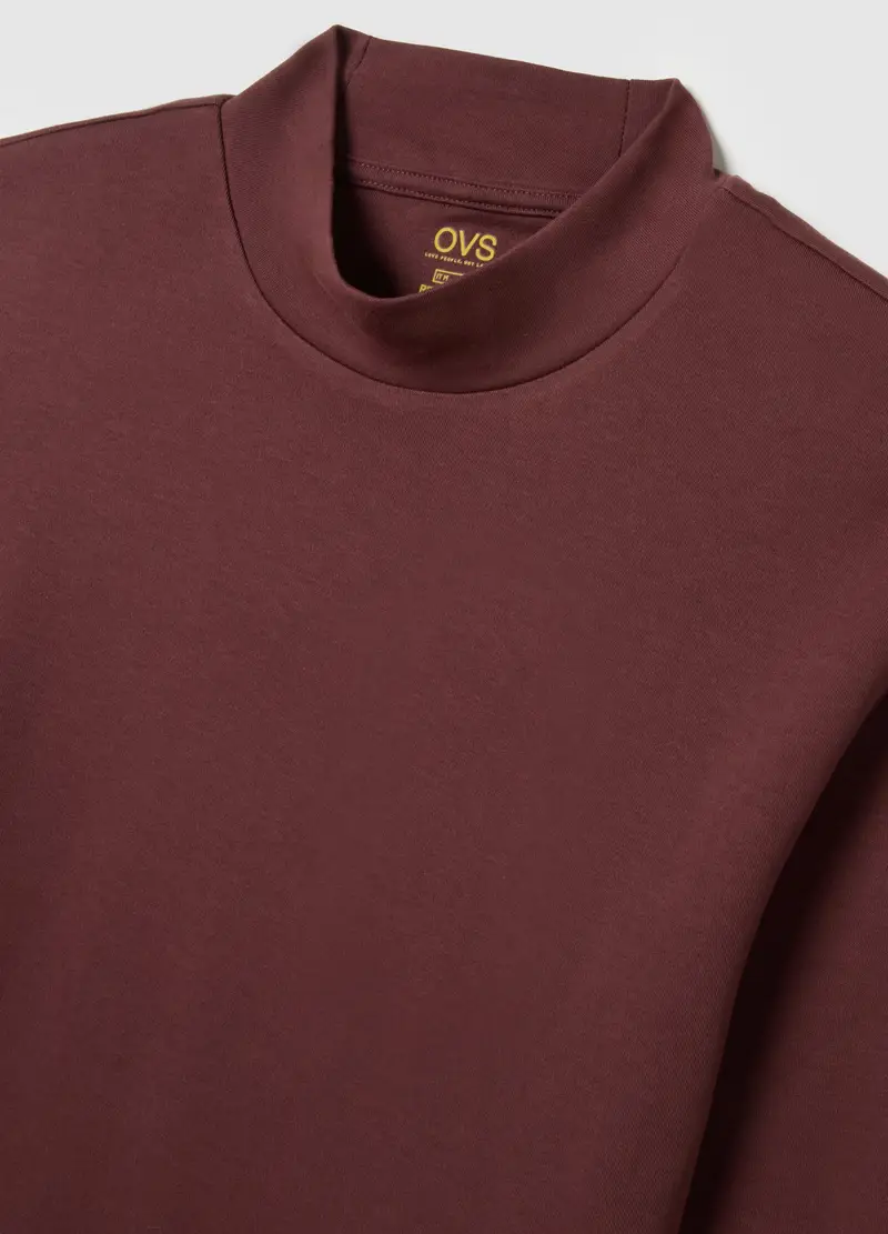 Maglia In Puro Cotone Marrone Regular Fit, Uomo, Marrone miniatura 2