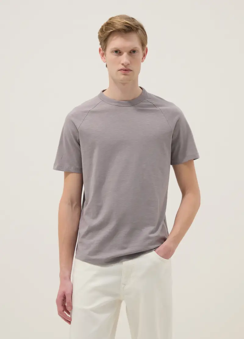 T-shirt In Puro Cotone Grigia Regular Fit, Uomo, Grigio miniatura 2