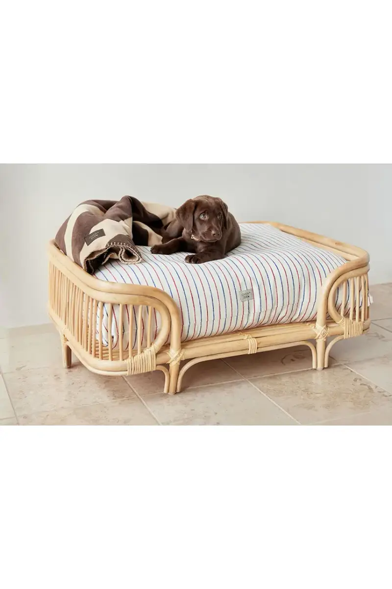 coperta per animali Kaya L Multicolore miniatura 3