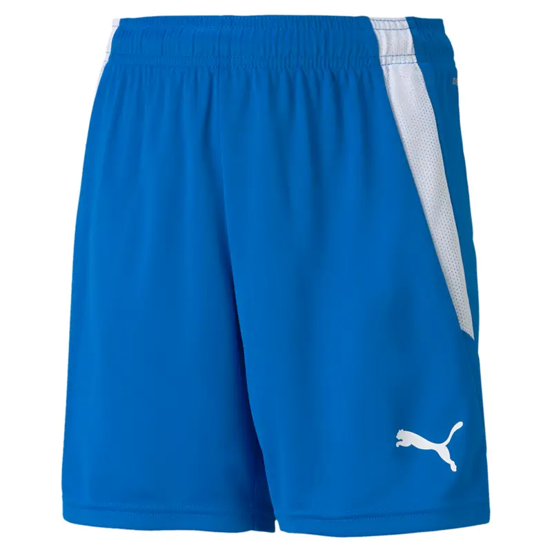Pantaloncini per bambini Puma Team Liga