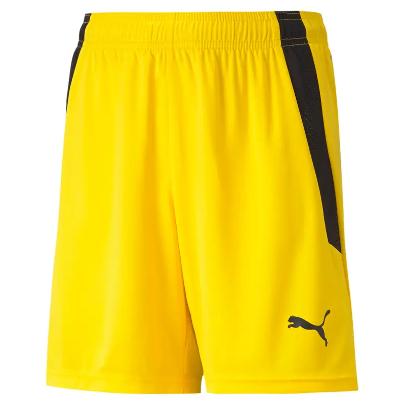 Pantaloncini per bambini Puma Team Liga