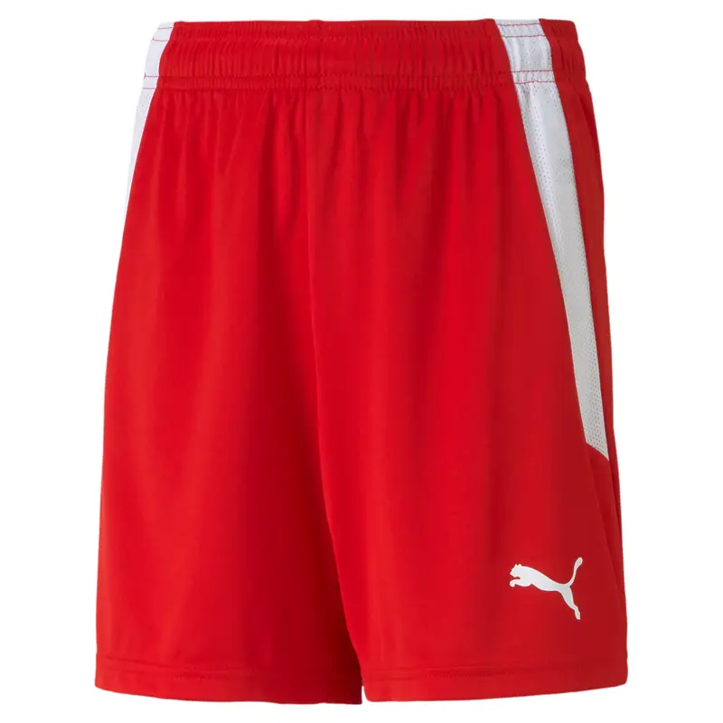 Pantaloncini per bambini Puma Team Liga