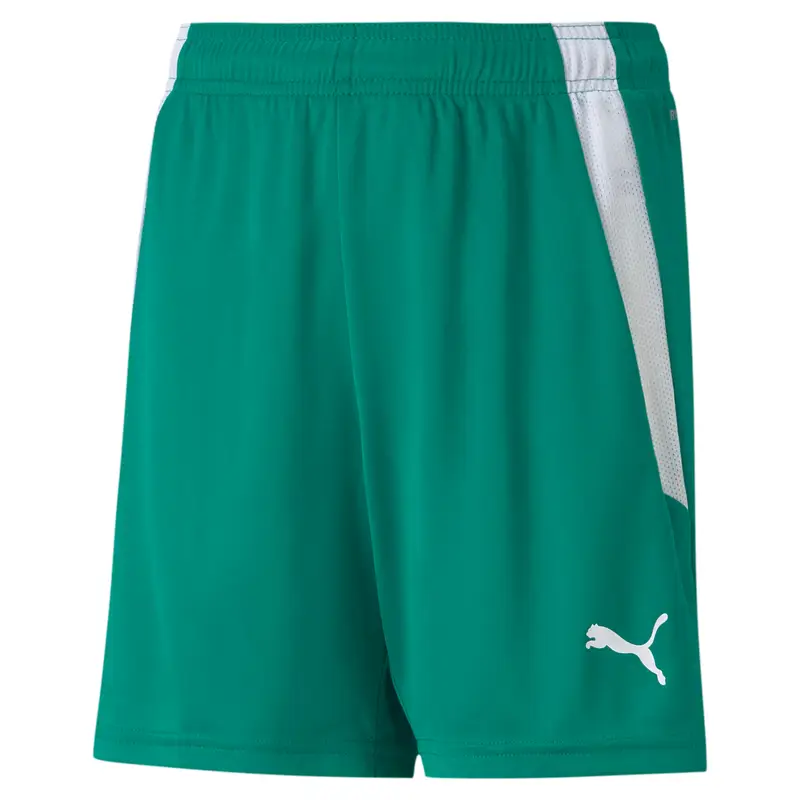 Pantaloncini per bambini Puma Team Liga
