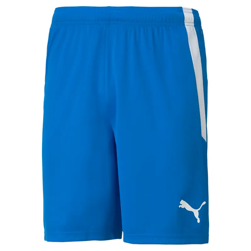Pantaloncini Puma Team Liga