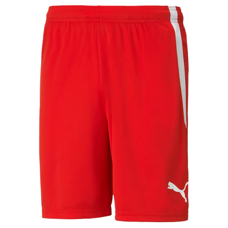 Pantaloncini Puma Team Liga