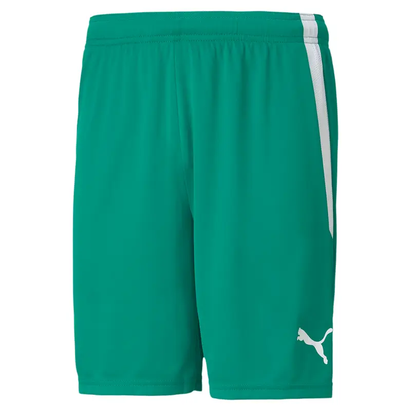 Pantaloncini Puma Team Liga