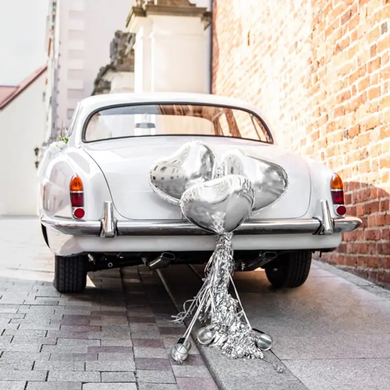 PartyDeko Party Deko ZDS1-018 Decorazioni per auto - Kit argento
