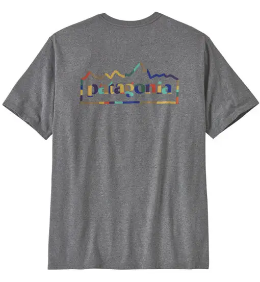 Patagonia T-shirt Uomo Grigio 2482287
