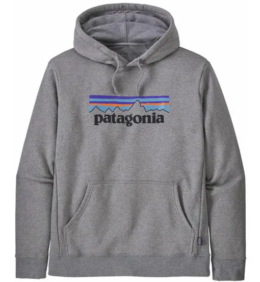 P-6 Logo Uprisal - felpa con cappuccio - uomo Grey