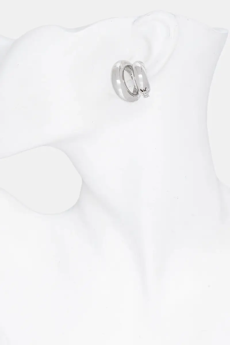 orecchino 2J2561 M074 Argento miniatura 4