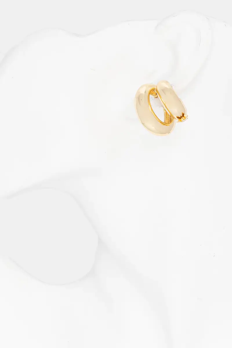 orecchino 2J2561 M074 Oro miniatura 4