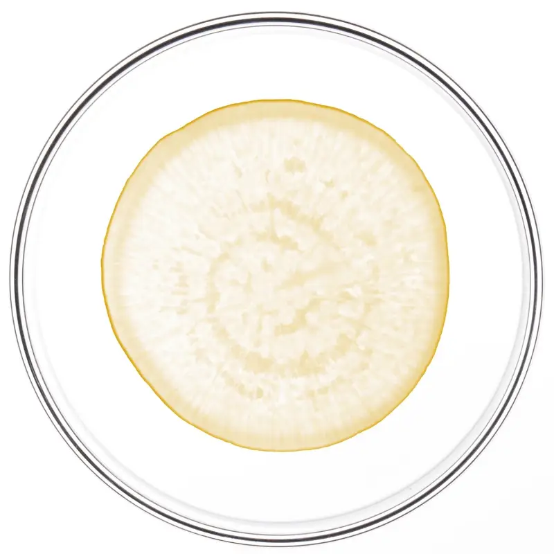 Trattamenti Specifici Phytocyane-Men Trattamento Anticaduta Uomo - Caduta dei capelli miniatura 2