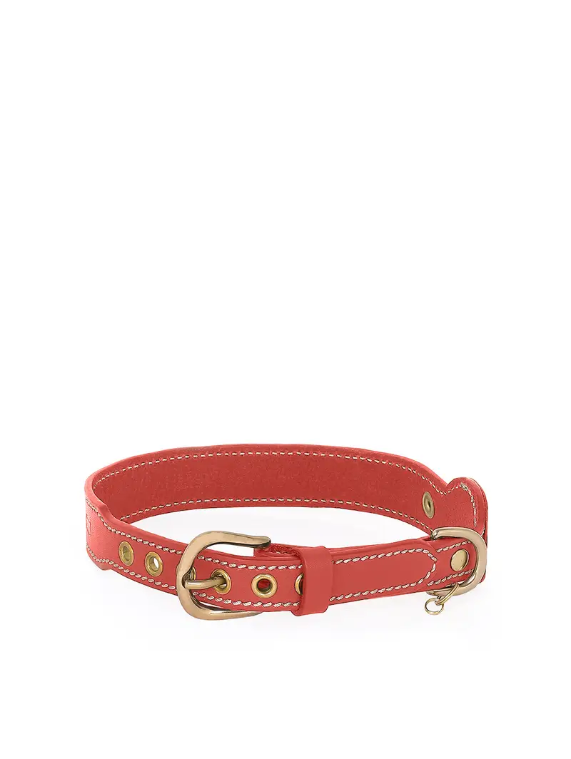 Collare Gps Rosso