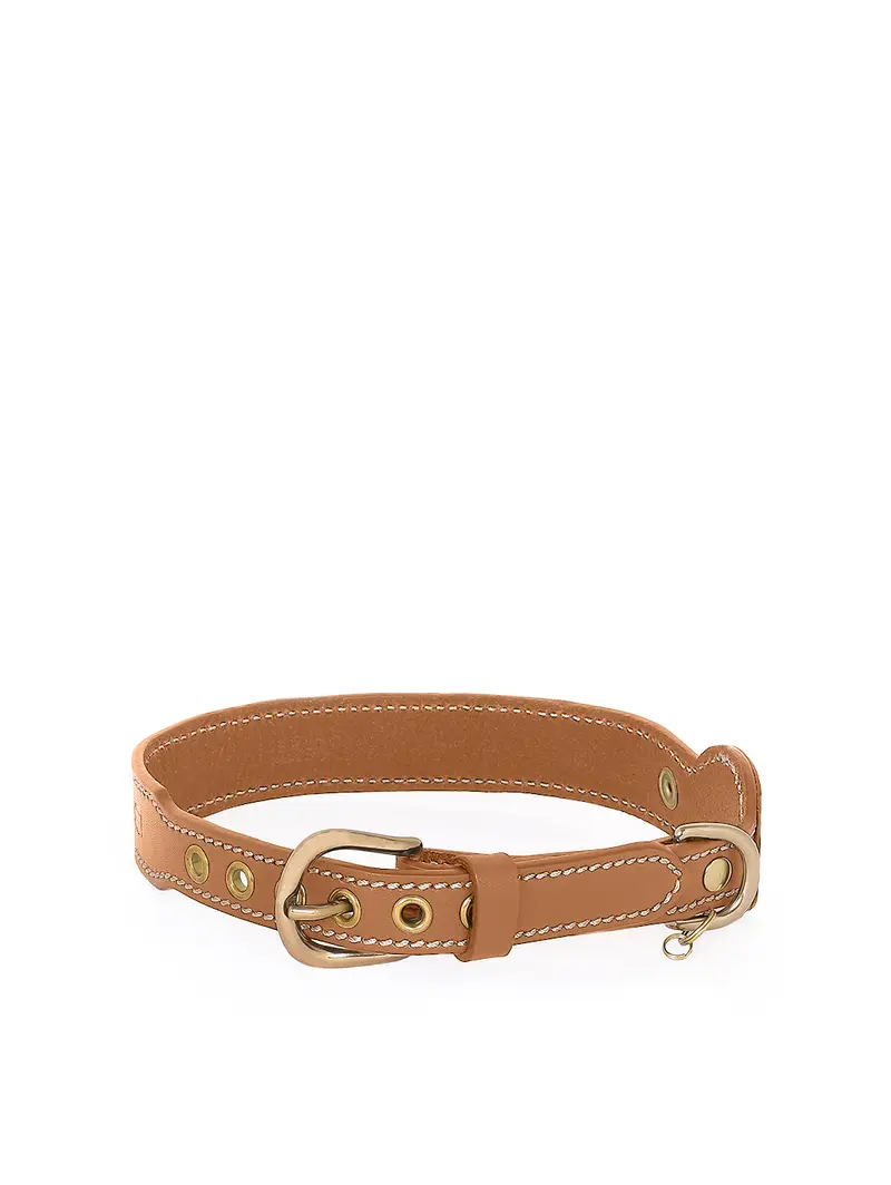 Collare Gps Tabacco Marrone