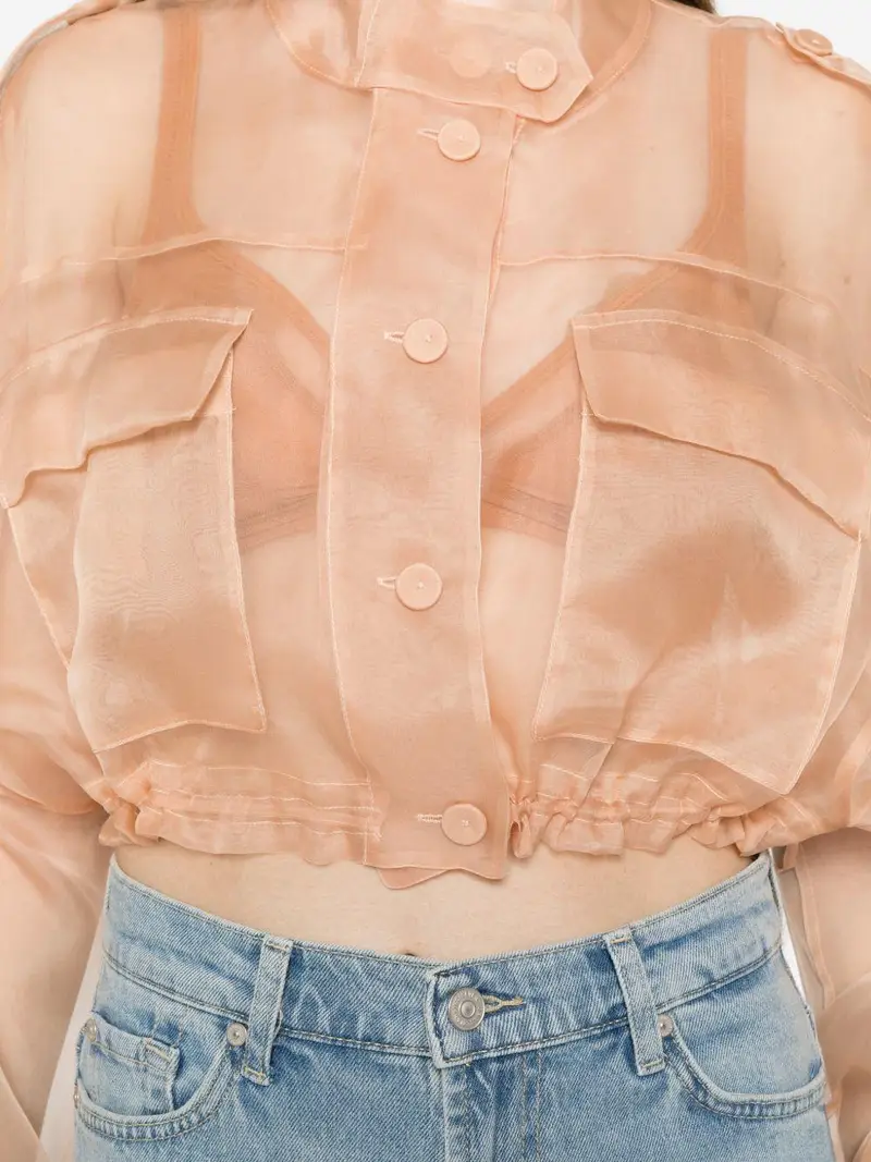 106603A2DJQ35 Rosa miniatura 2