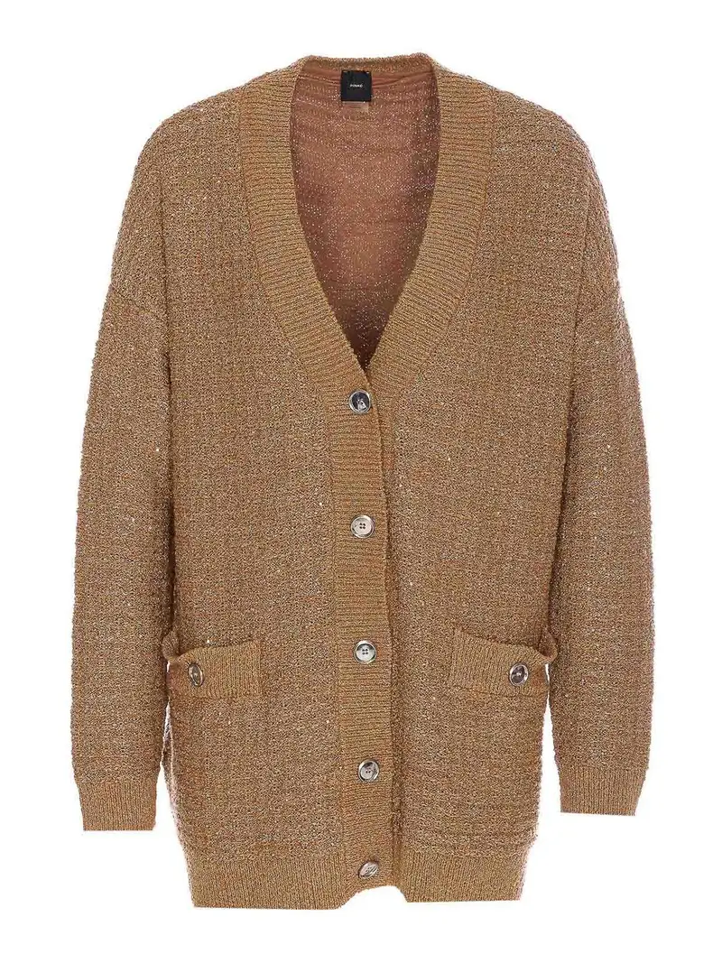 Pinko Cardigan Marrone 3861287